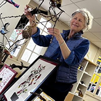 Les oiseaux de L'Aiguillée Studio dans la vitrine de l'office de tourisme - SEMUR-EN-AUXOIS