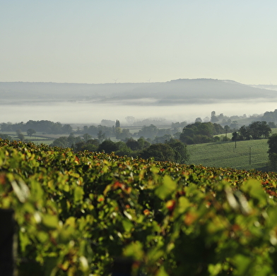 Domaine Aurélien Febvre