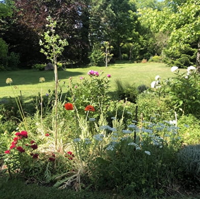 Les jardins de Baloo