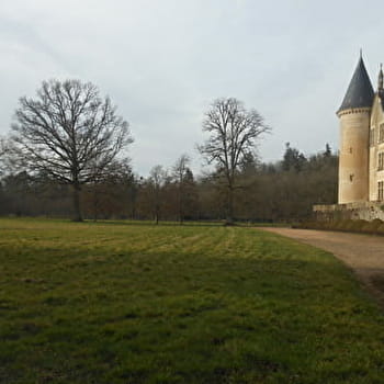 Parc du château de Bourbilly - VIC-DE-CHASSENAY