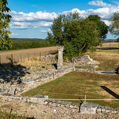 Site des vestiges de la ville gallo-romaine d'Alésia