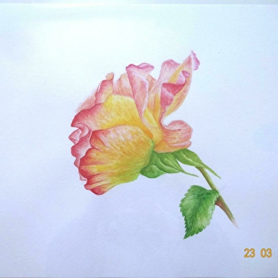 Exposition de peintures de Claude ROBIN