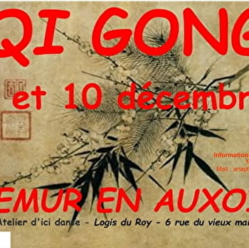 Stage Qi Gong - SEMUR-EN-AUXOIS