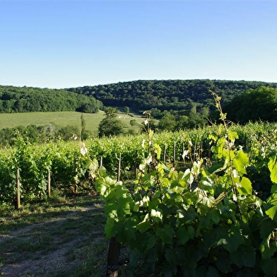 Domaine Aurélien Febvre