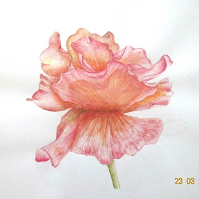 Exposition de peintures de Claude ROBIN