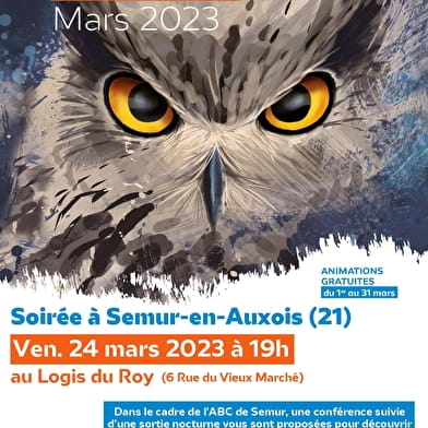 Nuit de la chouette 