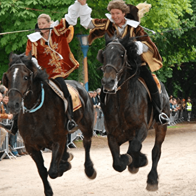 Ville de Semur-en-Auxois