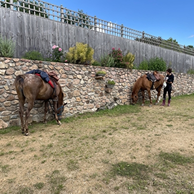 Randonnée à cheval sportive vers le Morvan sur le chemin de Bibracte 