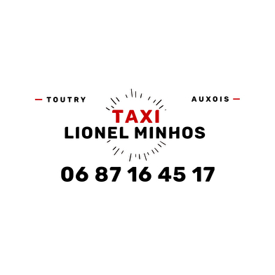 TAXI LIONEL MINHOS TOUTRY AUXOIS