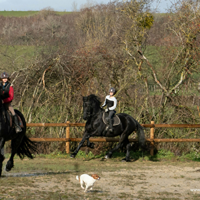 Centre equestre la Maison de Souhey