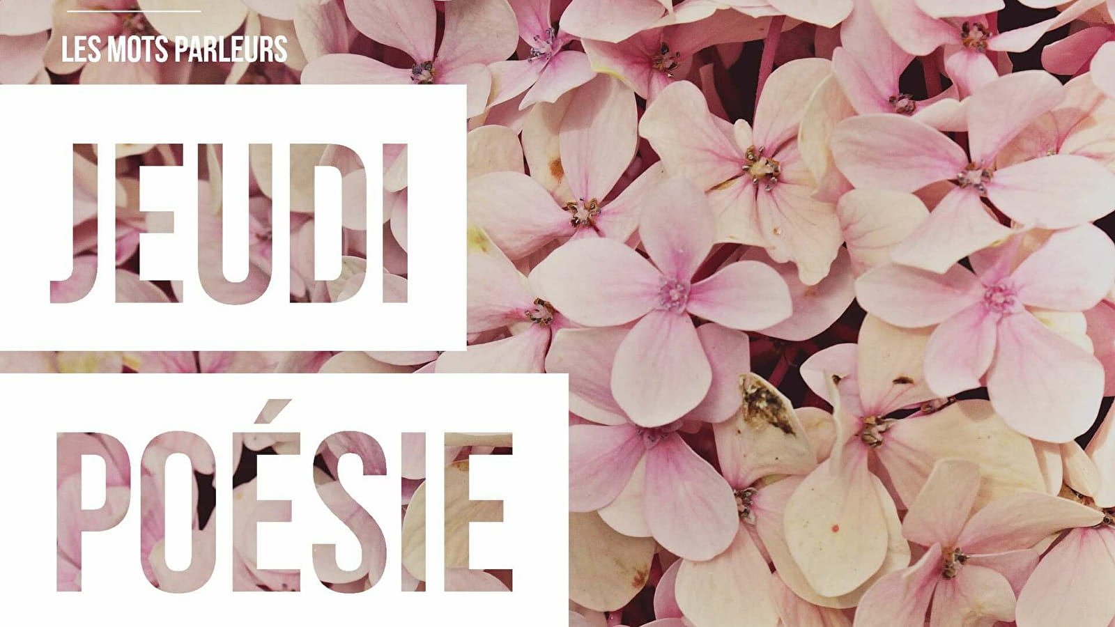 Jeudi poésie