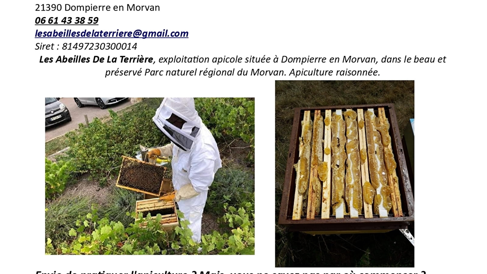 Stage d'initiation à l'apiculture