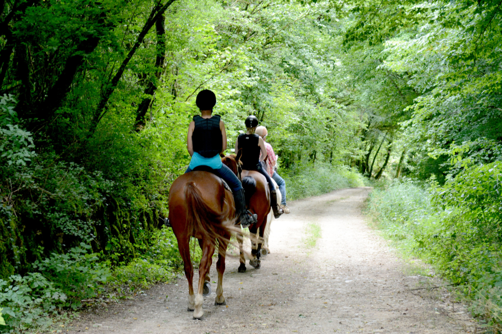Centres équestres Terres d'Auxois