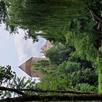 Association de sauvegarde des jardins et terrasses de semur - SEMUR-EN-AUXOIS