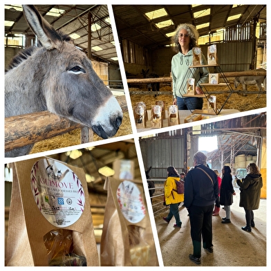 Découverte des ânes et des cosmétiques