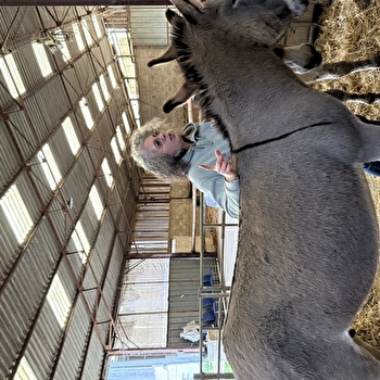 Visite de la ferme des ânesses de la Côte du Puits - MASSINGY-LES-SEMUR