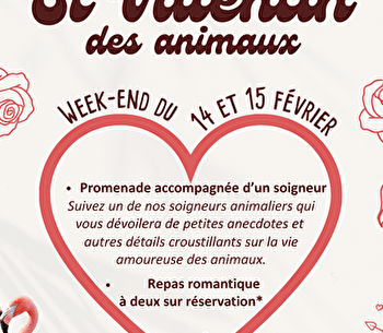 Saint Valentin des animaux et des amoureux des animaux - ARNAY-SOUS-VITTEAUX