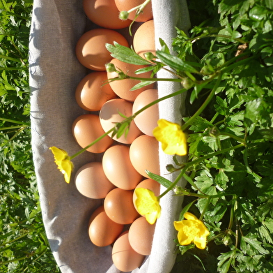 Du bon dans le pré