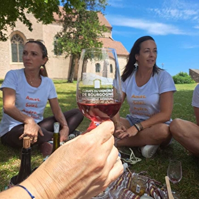 VELOVITAMINE - Découverte des vignobles de l'Auxois à vélo- Bourgogne
