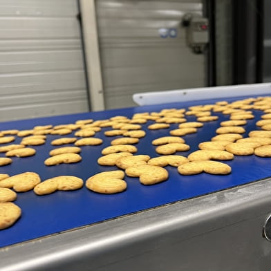 Visite de la fabrique Bon Vivant et dégustation de biscuits
