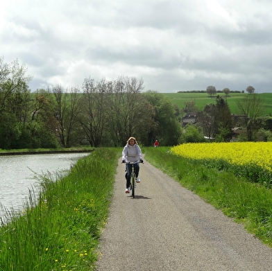 Office de tourisme du Montbardois -  Location de vélos