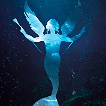 Exposition Le chant des Ondes - BUSSY-LE-GRAND