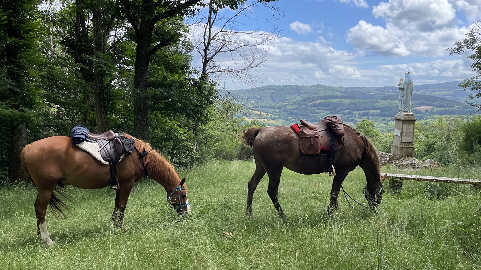 Randonnée à cheval sportive vers le Morvan sur le chemin de Bibracte 