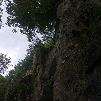 Falaises de Saffres - SAFFRES