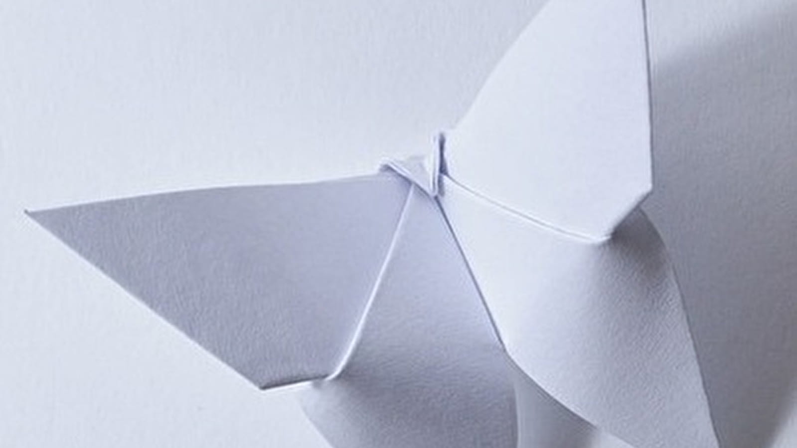 Atelier pour des animaux en origami 