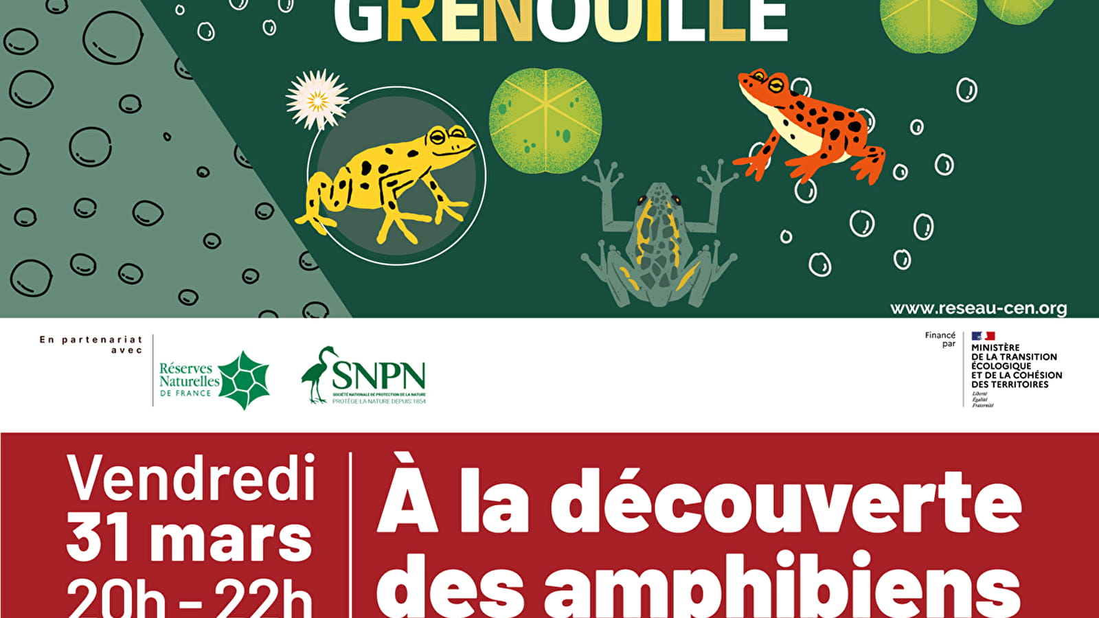 À la découverte des amphibiens