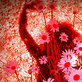 Le Vice de la joie - SEMUR-EN-AUXOIS