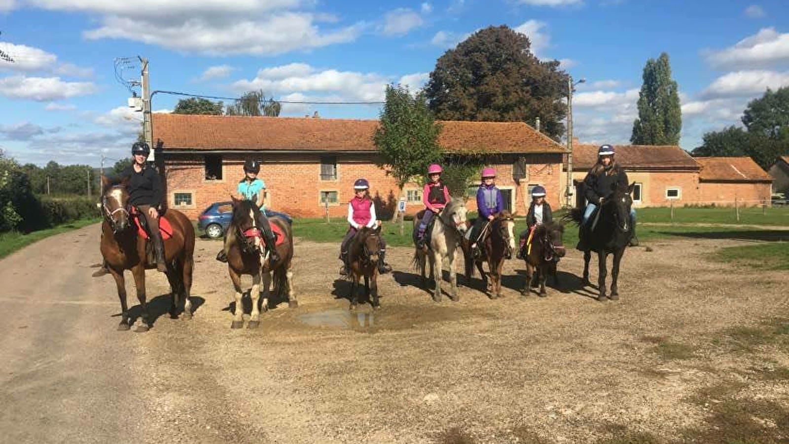 Concours de saut d'obstacles - Dressage