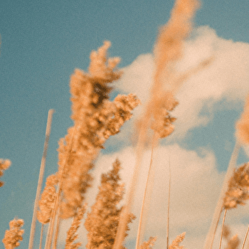 Daudan et ses amis ensemble pour UNICEF - SEMUR-EN-AUXOIS