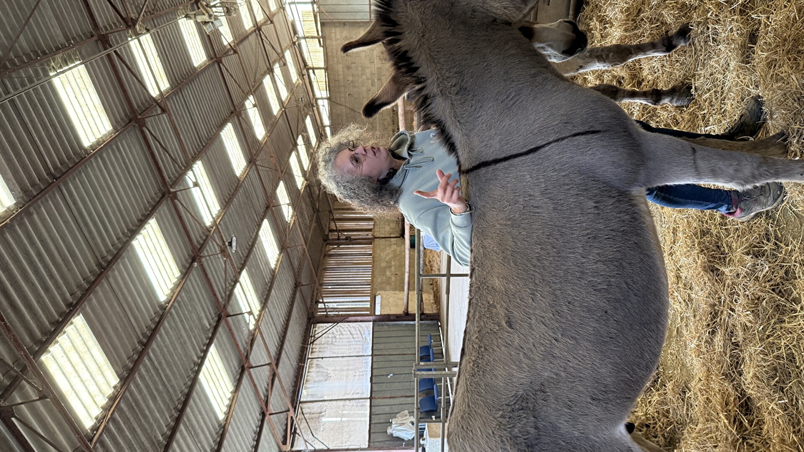 Visite de la ferme des ânesses de la Côte du Puits