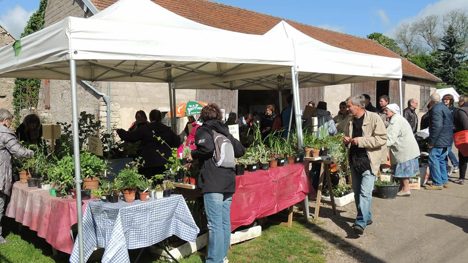 Troc aux plantes