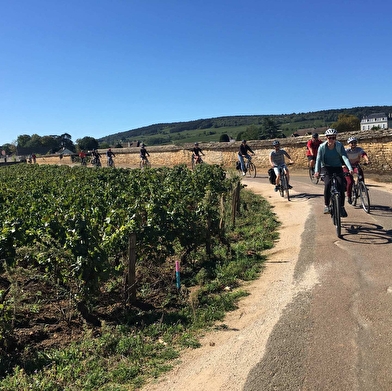 VELOVITAMINE - Découverte des vignobles de l'Auxois à vélo- Bourgogne