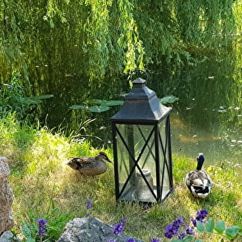 Le Cottage du Moulin de L'O - SEMUR-EN-AUXOIS