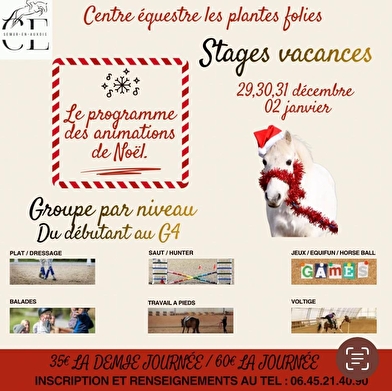 Stages équestres vacances