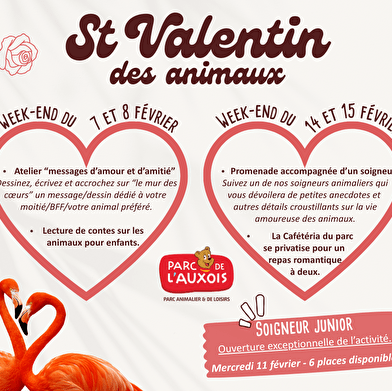 Saint Valentin des animaux et des amoureux des animaux
