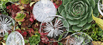 Exposition de fin d'année - MISSERY