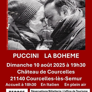 Opéra 'La bohème'